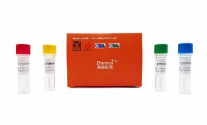 禽流感病毒H5N2亚型检测试剂盒（双色实时荧光PCR法）