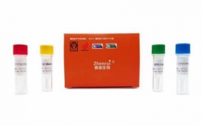 古典猪瘟病毒检测试剂盒（实时荧光PCR法）